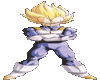 dragon ball vegeta