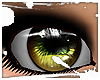 [D� iShyn - Hazel