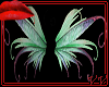 Fairy wings