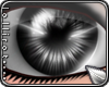 *L� eKlips Gray