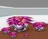Pritty Pink Potted Plant