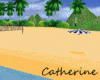 Sandy beach