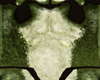 Frog Skin