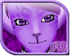 {m} Murasaki Cat Bundle