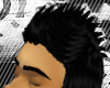 [xD] BecksHawk |Blk|