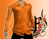 Soulful Orange Silk