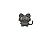 Sugar Black Cat