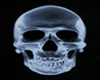 Neat Skull