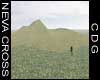 NC-Grassy Knolls 3
