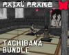Fatal Frame Tachibana