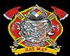 hazmat ff1 emt