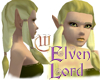 Elven Lord Hair - Topaz