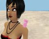pink teddy pet