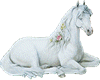 Princess Horse