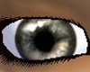 Realistic soft hazel