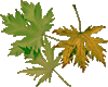 sticker_2487428_4350149