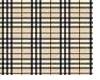 burbery mini skirt