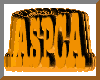SPINNING ASPCA