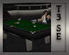 T3 LeatherBound PosePool