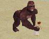 QnS Brown Gorilla/sound