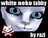 White Tabby Bundle