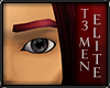 T3 EyebrowsForMen-Vamp