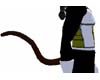 Animated S. Tail-M/F