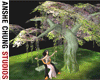 [ACS] TREE SWING