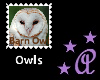 Barn Owl Stamp