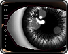 *L� iSheen Black