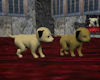 QnS Playful Pups w/sound