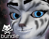 Snow Minx Furset (M)