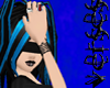 -V- BlindTrust Black (f)
