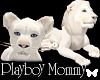 2 White Lions Furniture