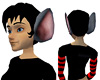 Mouse Ears