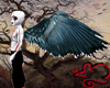 Massive Crow wings