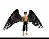 Black Dragon Wings