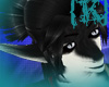 {K}BlackSergal(F)