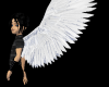 Angel :P