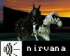 Cool Horse Ride