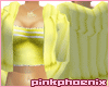 Sunny Chinchilla Bundle