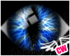 *Cat Eyes* Blue