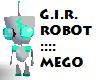 G.I.R.