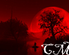 *CM*EtherealSpirit