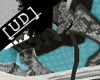 Supra Vaider LTD TS