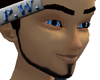 [PW]Beard03_black