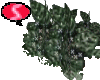S. Flower Bush
