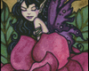 Rose Fairy