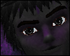 Night Terrors Bundle