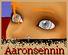 Leader's Eyes II
